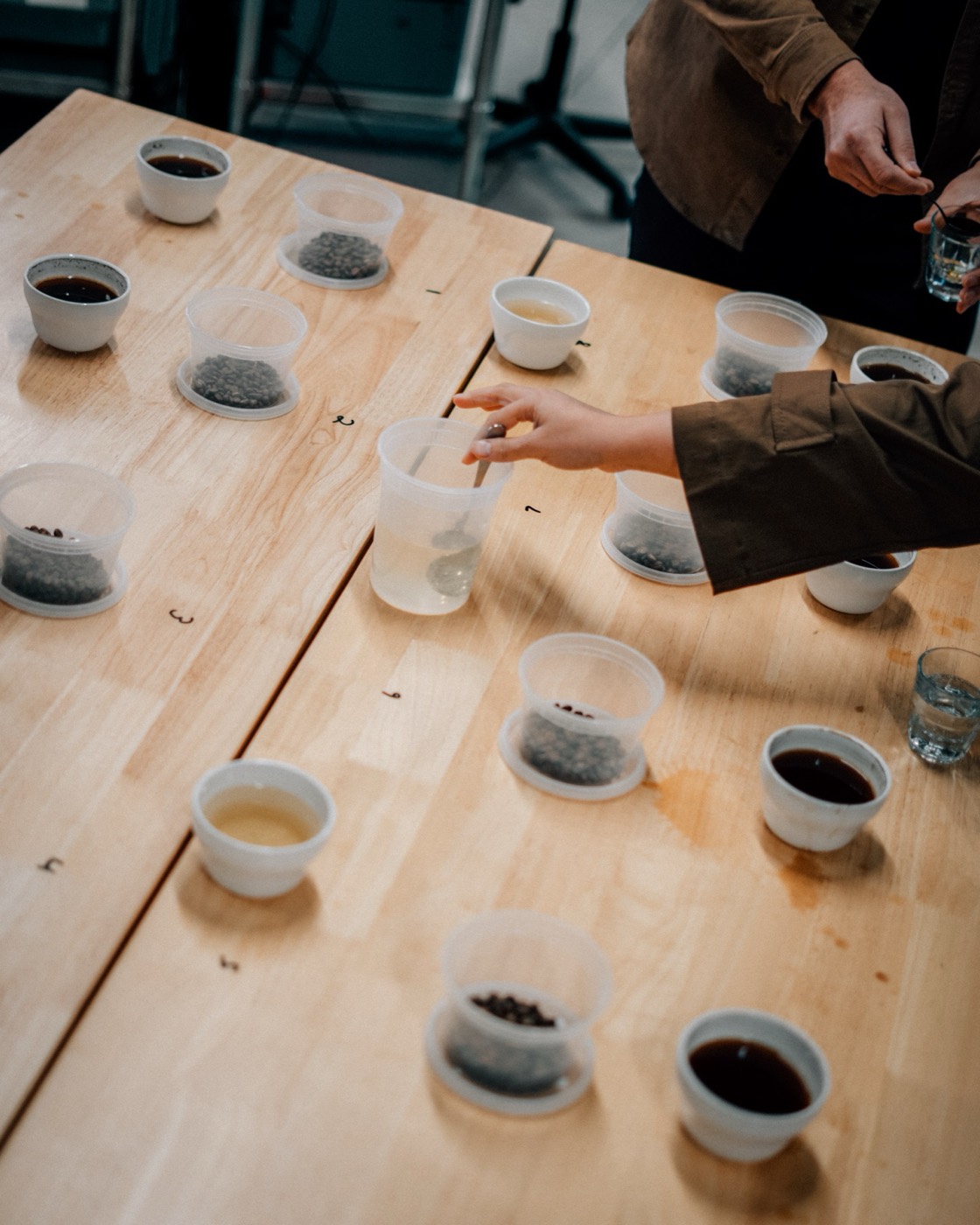 Cupping session at Coffeehaus, samples and tasting bowls
